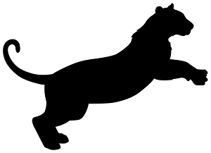Jumping Tiger
