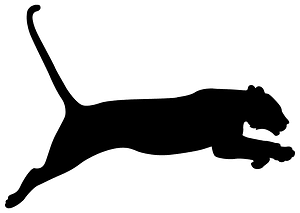 Jumping Tiger