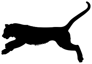 Leaping Tiger