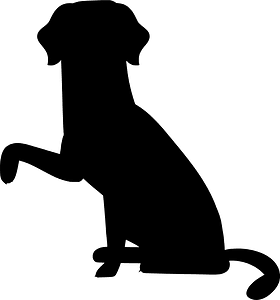 Labrador