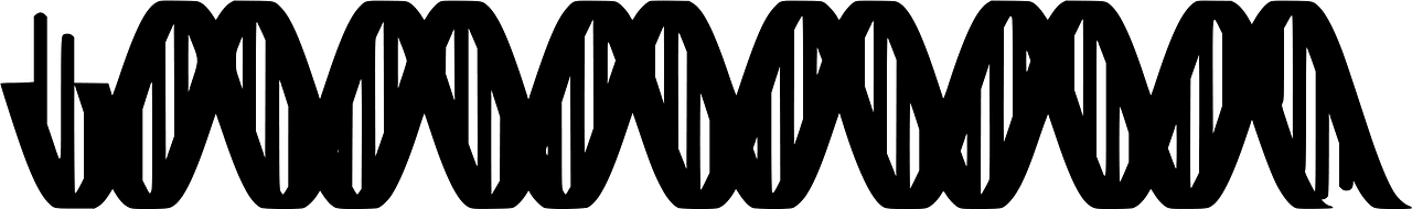 Dna
