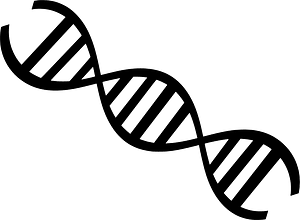 DNA strand