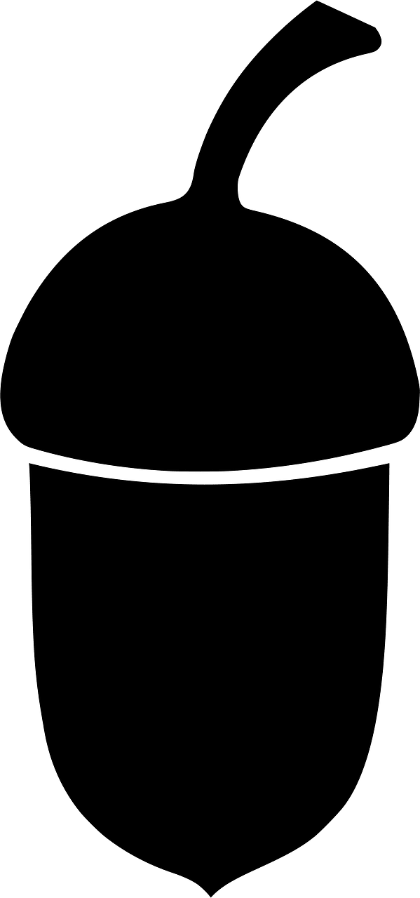 Acorn