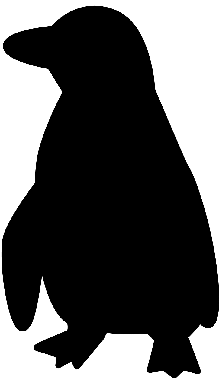 Humboldt penguin