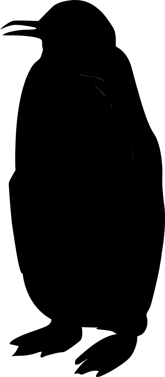Emperor penguin