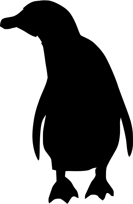Humboldt penguin