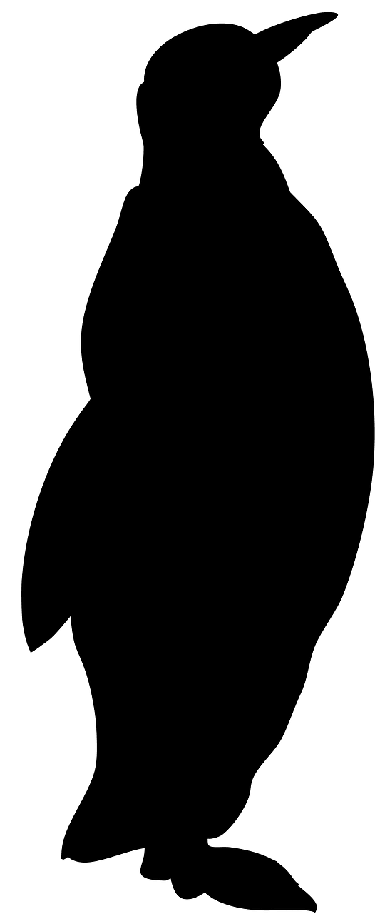 펭귄