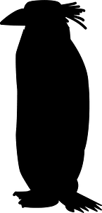 Macaroni penguin