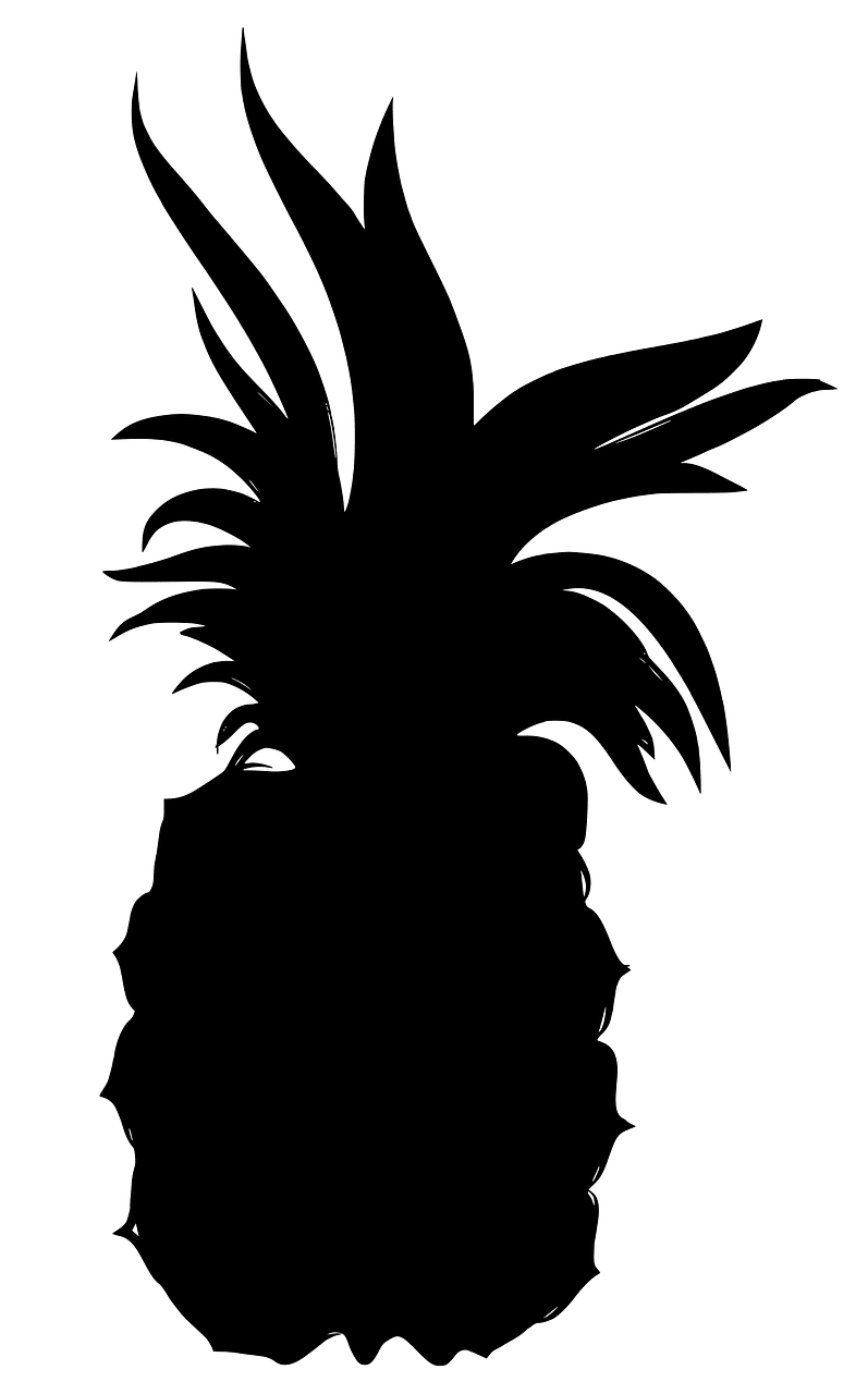 菠萝