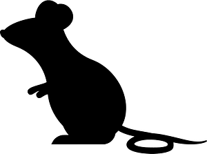 생쥐