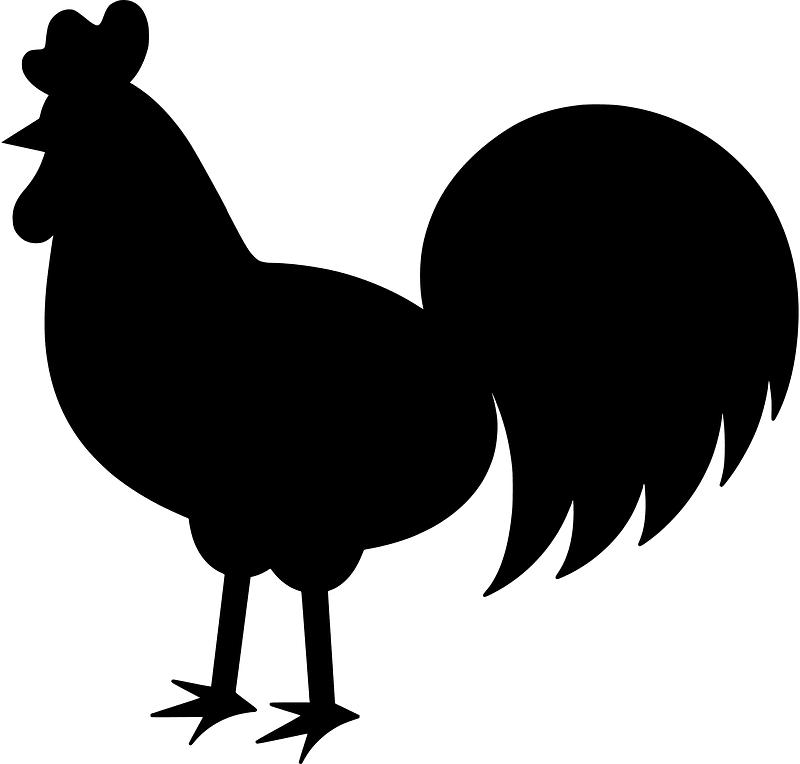 Rooster