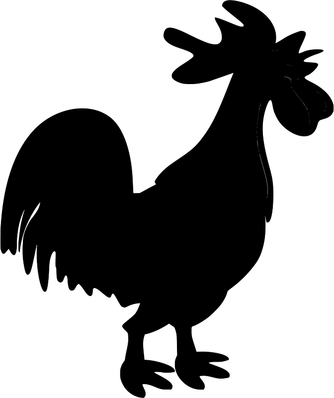 Rooster