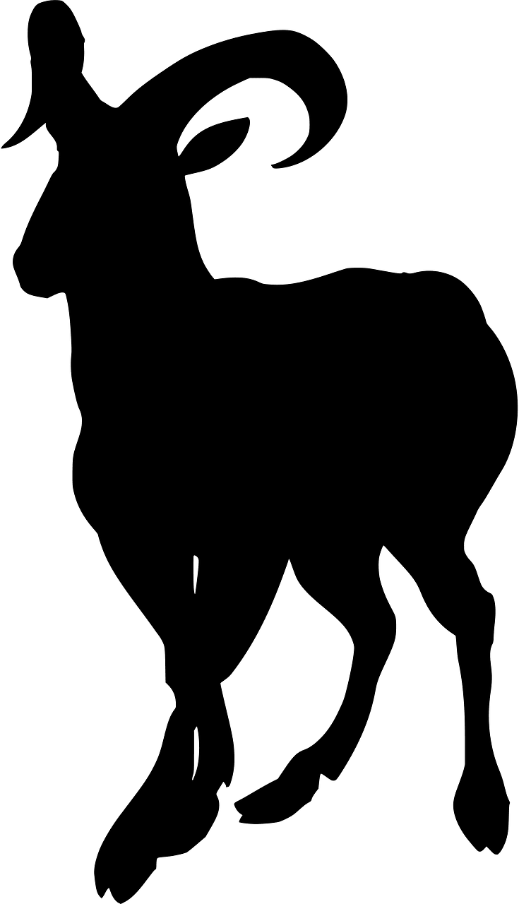 Баран