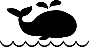 Whale