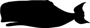 고래