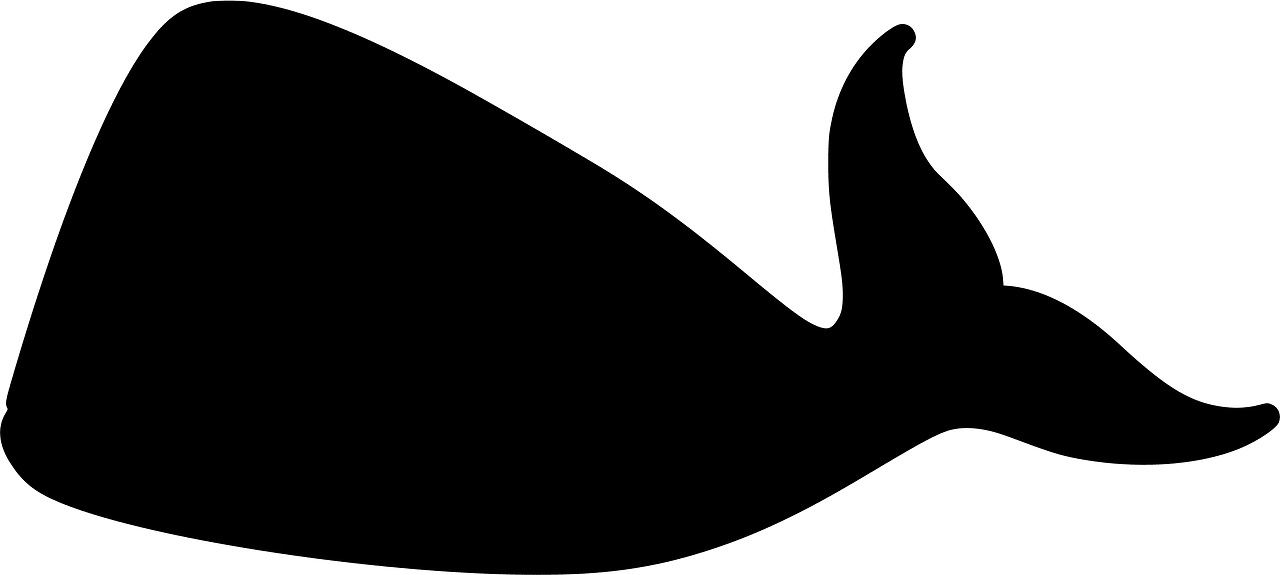 Whale