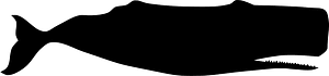 Whale