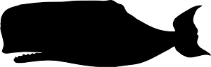 고래