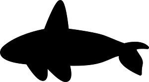 虎鯨