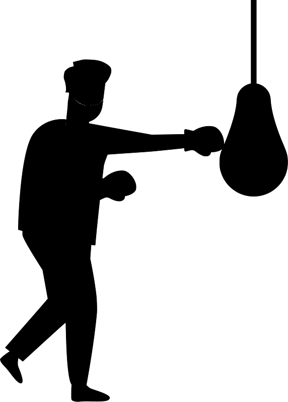 Boxer