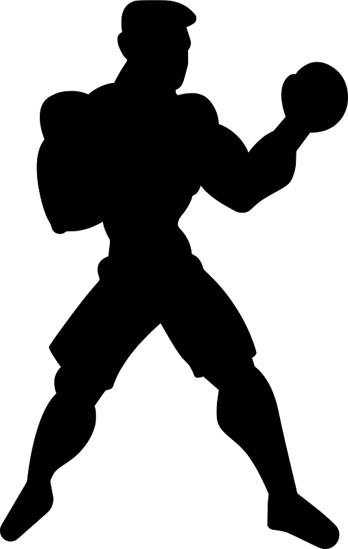 Boxer