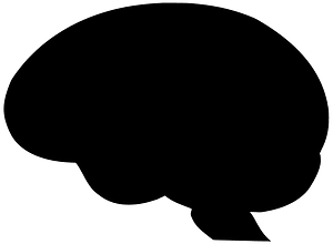 Brain