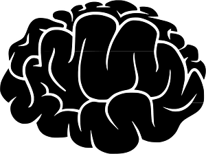 Brain