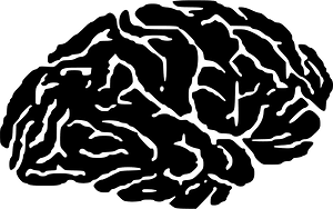 Brain