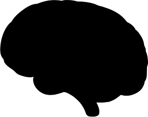 Brain