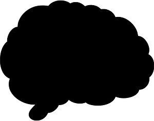 Brain
