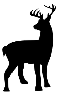 Stag