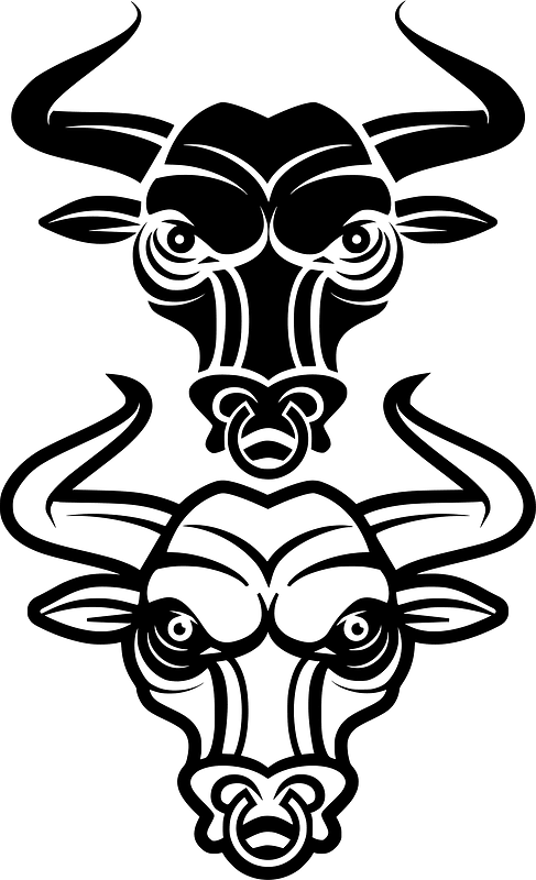 Bull head