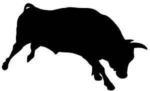 Bull