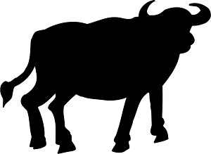 Bull