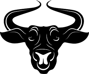 Bull head
