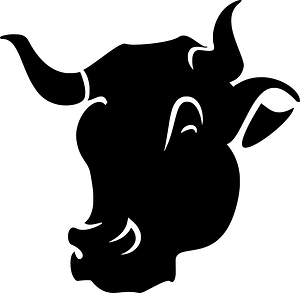 Bull head
