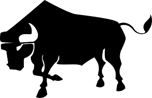 Bull