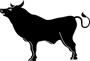 Bull