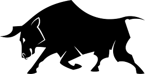 Bull