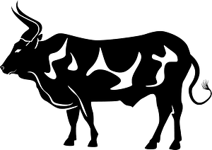 Bull
