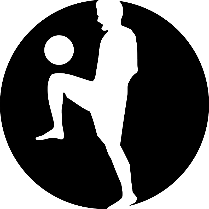 Soccer school color logo