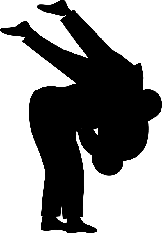 Judo throw