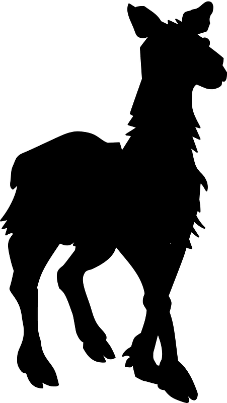 Llama