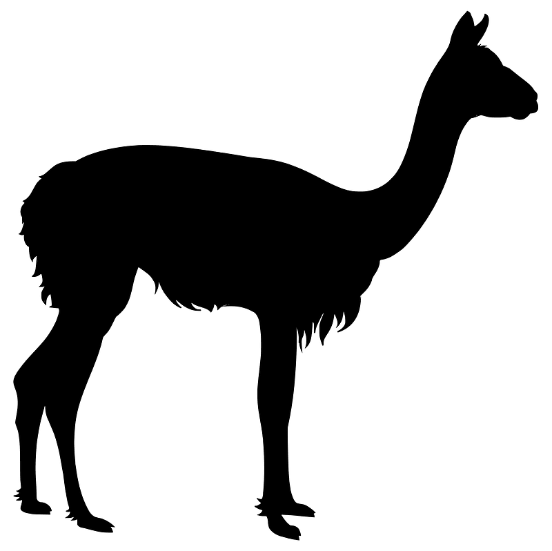 Vicuna