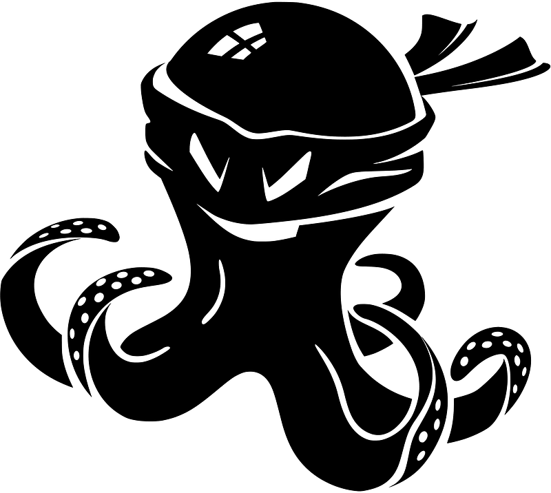 Octopus