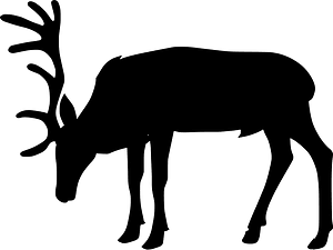 Heraldic deer