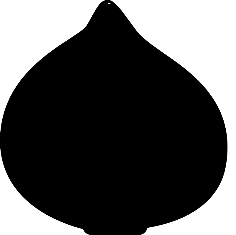 Цибуля