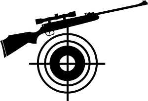 Target and gun