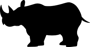 Rhinoceros 