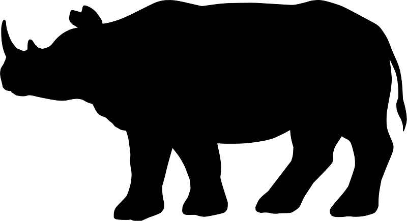 Indian rhinoceros
